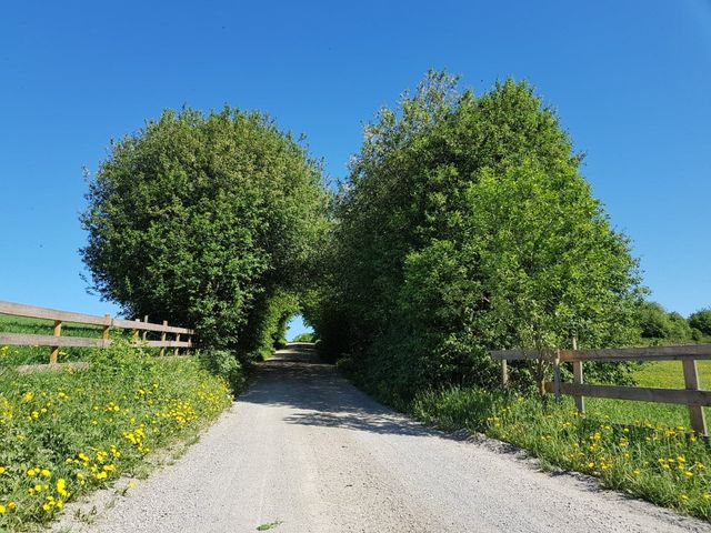 Tingelstadhøgda