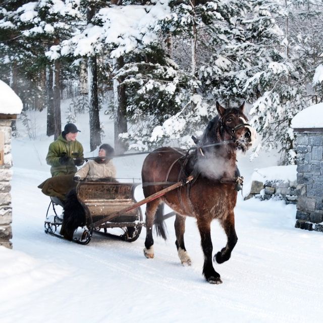 Sleigh ride with horse