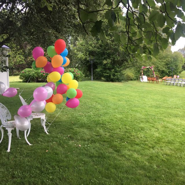 Wedding