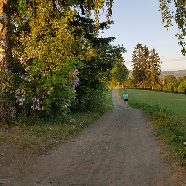 Jog