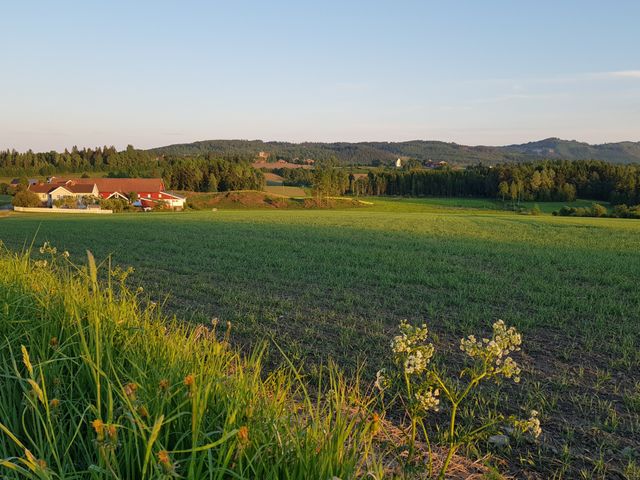 Åker