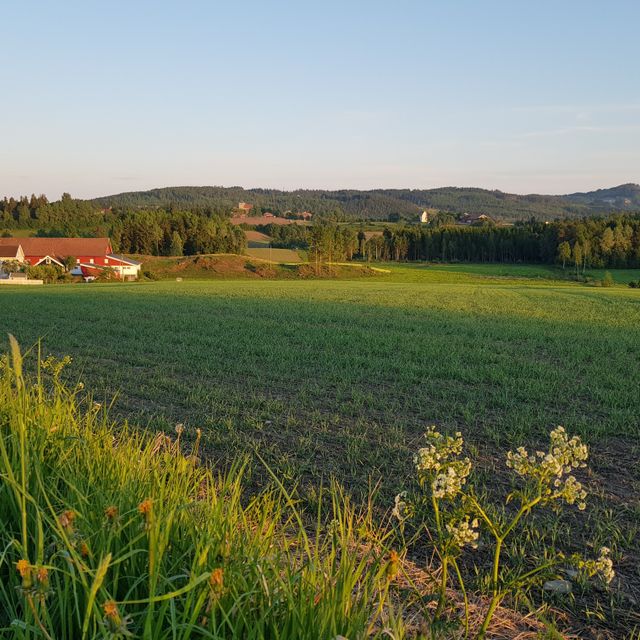 Åker