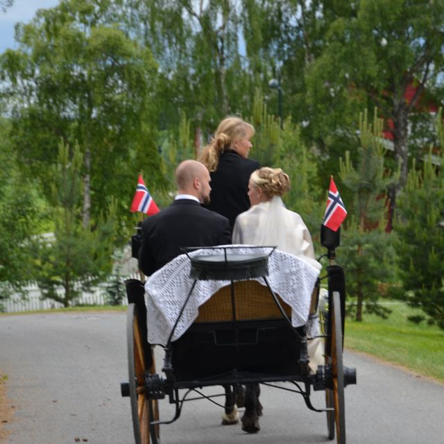 Bride and groom in horse and carriage