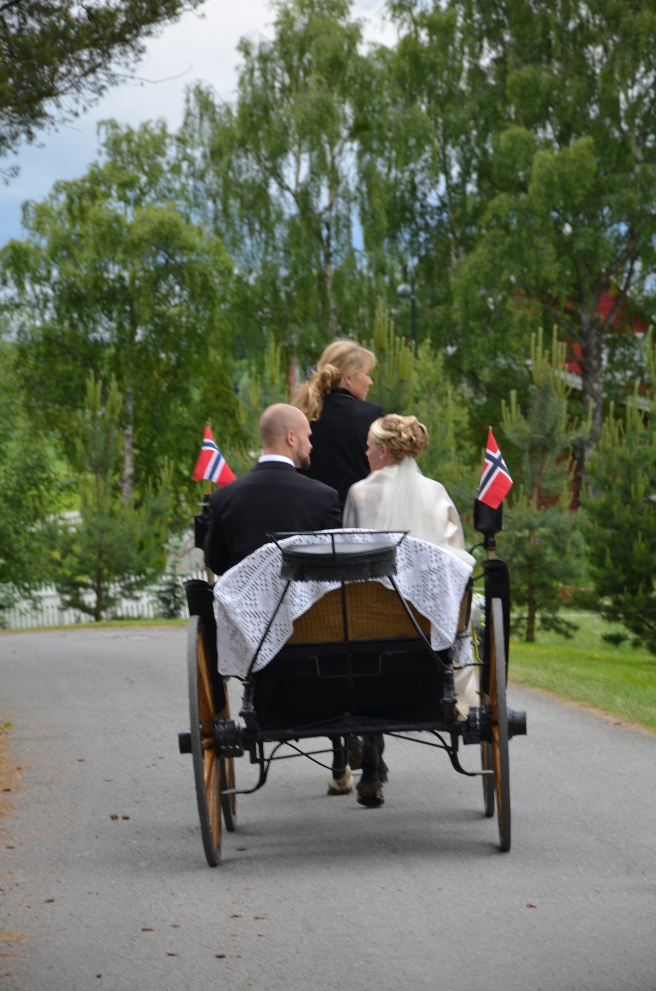 Bride and groom in horse and carriage