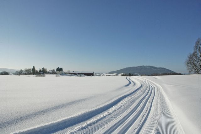 skiløype 