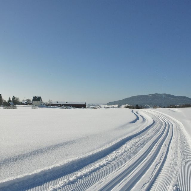 Ski tracks