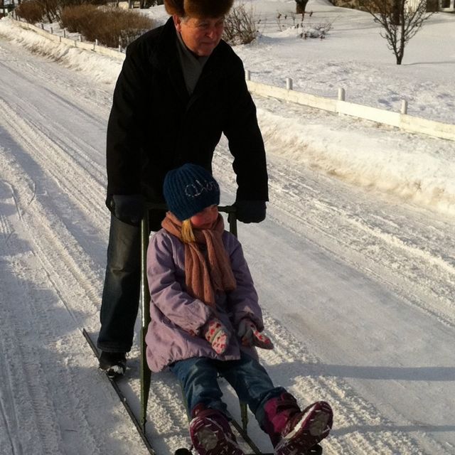 Kicksled